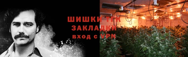 прущая мука Абаза