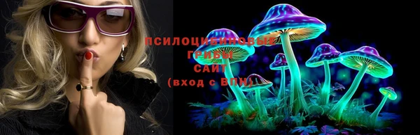 spice Абинск
