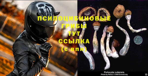 бошки Осташков